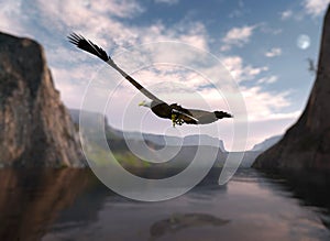 Eagle soaring over water.