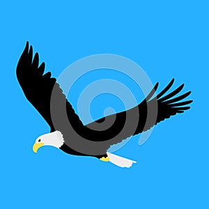 Eagle spread wings, flying and looking down, cute symbol style, simple design, black, white and yellow color.