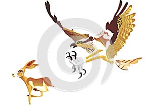 Eagle try to catch a rabbit photo
