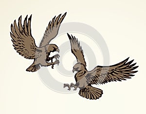 Eagle. Vector drawing