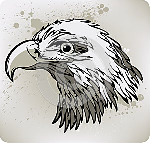 Eagle. Vector illustration.