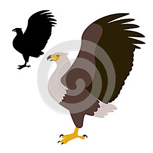 Eagle vector illustration, black silhouette,profile
