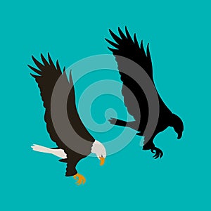 Eagle vector illustration flat style black silhouette