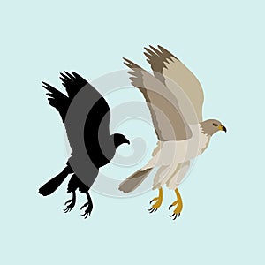 Eagle vector illustration style flat black silhouette