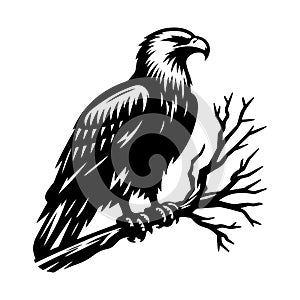 Eagle vector silhouette art illustration