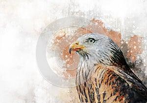 Eagle watercolor painting, symbol predator. Bird illustration