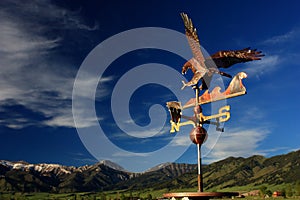 Eagle Weather Vane photo