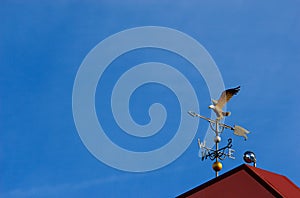 Eagle weather vane