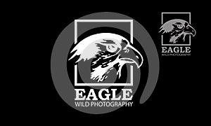 Eagle wild photography Vector Logo Template.