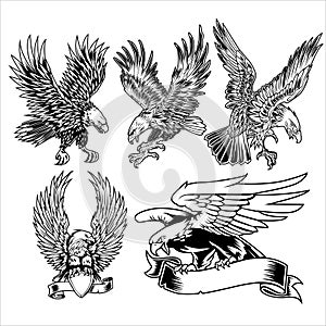 Eagle Wing Fly  Hawk Black Vector illustration