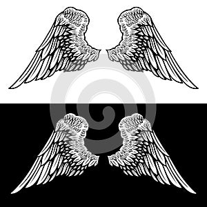 Eagle wings on light background. Design element for poster, t shirt, card, banner.