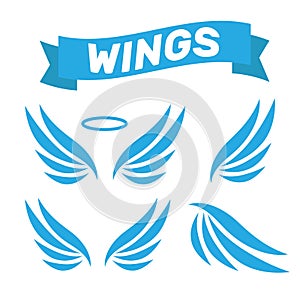 Eagle wings vector. Wings angel isolated. Bird wings cartoon art
