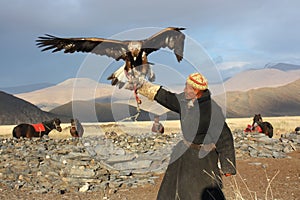 Eaglehunter in mongolia