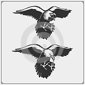 Eagles. Emblems and template for sport club design.