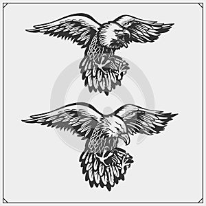 Eagles. Emblems and template for sport club design.