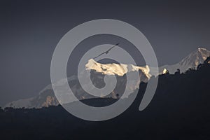 Eagles flying with Himalaya mountains in background. Nepal