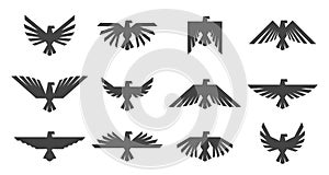 Eagles graphic element, template for logo or icons. Heraldic symbol with eagle or hawk