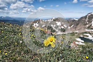 Eagles Nest Wilderness, Colorado