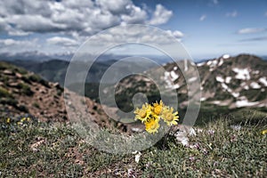 Eagles Nest Wilderness, Colorado