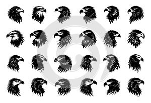 Eagles, predator head, black and white graphics in lineart style. Bird avatars, sky hunters, flying animals, grayscale