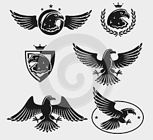 Eagles set. Vector