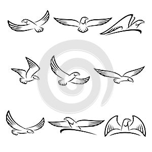 Eagles set. Vector