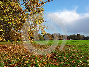 Ealing Common