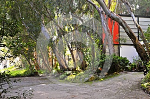The Eames House Studio