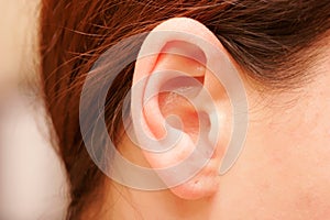 Ear