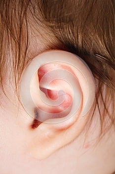 Ear