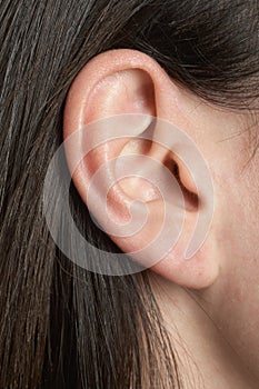 Ear