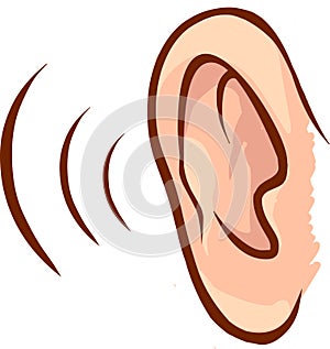 Ear