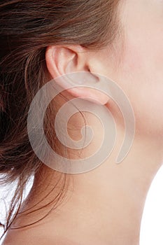 Ear