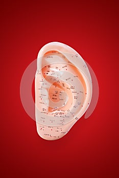 Ear acupuncture points  on chinese red background - clipping path