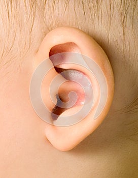 Ear of baby boy