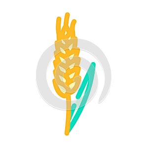 ear barley cereal color icon vector illustration