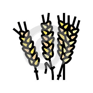 ear barley color icon vector illustration
