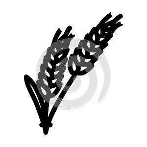 ear barley grain line icon vector illustration