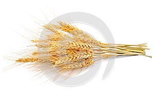 Ear of barley on white