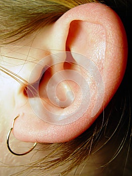 Ear Closeup