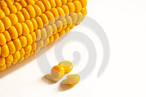 Ear of corn close-up, ripe yellow seeds fell on a white background