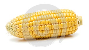 An ear of corn on the cob (ai generated)