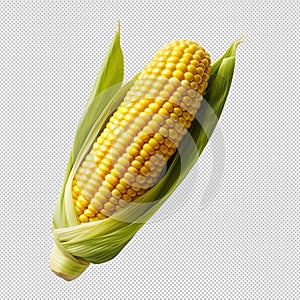 Ear of corn, corn cob isolated on transparent background