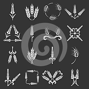 Ear corn icons set grey vector