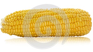 An ear of corn isolated