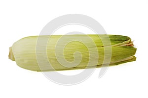 Ear of Corn isolated