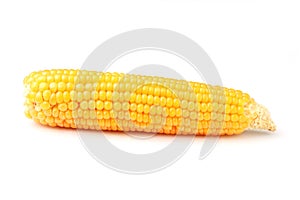 Ear of corn isolated.