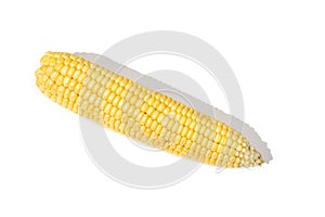 Ear corn isolated on white background