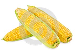An ear of corn isolated on a white background