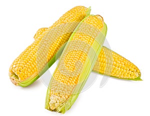 An ear of corn isolated on a white background